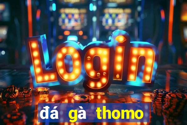 đá gà thomo hôm nay trận 33