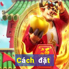 Cách đặt cược XSST thứ tư