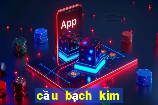 cầu bạch kim miền bắc