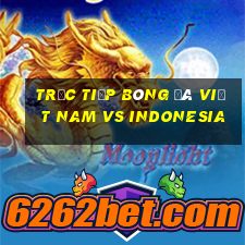 trực tiếp bóng đá việt nam vs indonesia