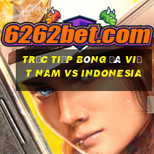 trực tiếp bóng đá việt nam vs indonesia