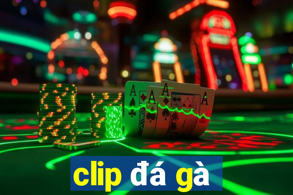 clip đá gà