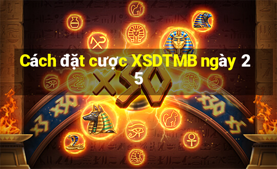 Cách đặt cược XSDTMB ngày 25