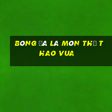 bóng đá là môn thể thao vua