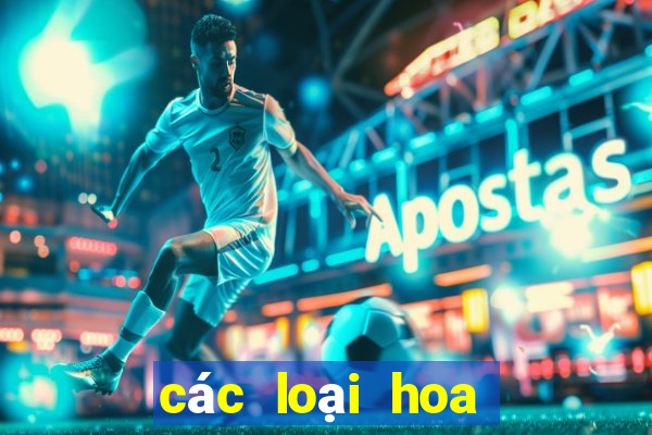 các loại hoa lan bệt