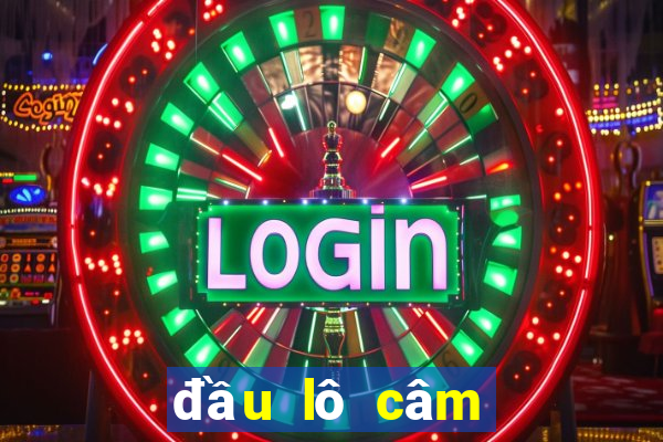 đầu lô câm đánh con gì