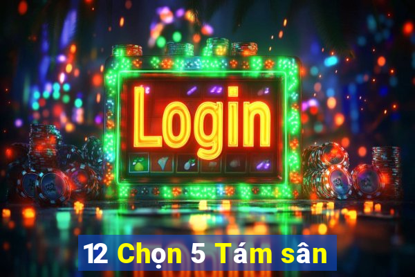 12 Chọn 5 Tám sân