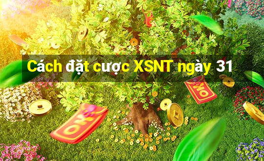 Cách đặt cược XSNT ngày 31