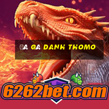 đá gà danh thomo