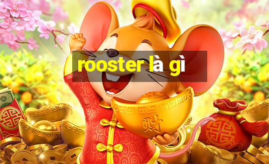 rooster là gì