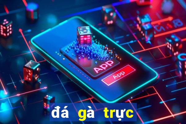 đá gà trực tiếp thomo 67 hôm nay