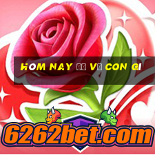 hôm nay đề về con gì