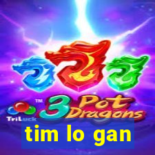 tim lo gan