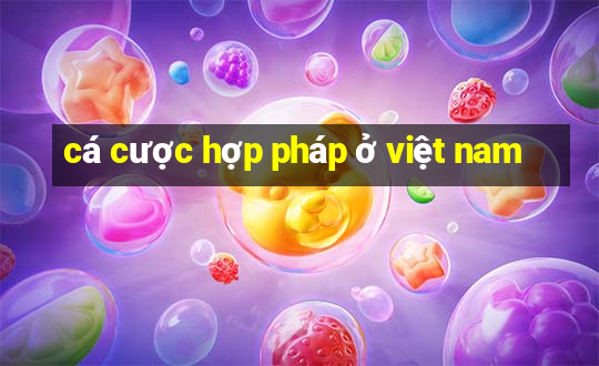 cá cược hợp pháp ở việt nam