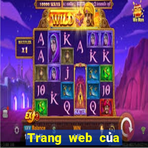 Trang web của Color 38