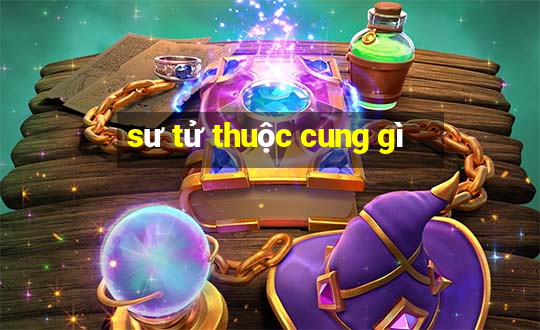 sư tử thuộc cung gì