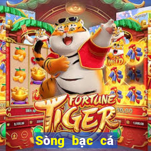 Sòng bạc cá cược Việt nam