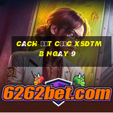 Cách đặt cược XSDTMB ngày 9