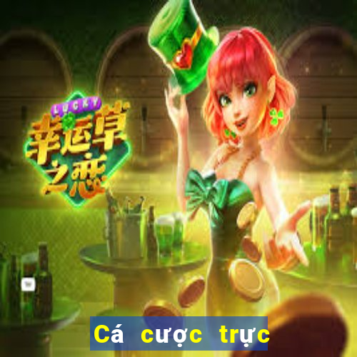 Cá cược trực tuyến 68lottery