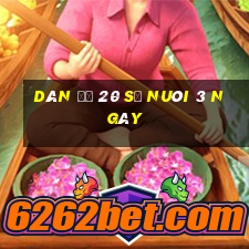 dàn đề 20 số nuôi 3 ngày