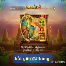 bắt gôn đá bóng