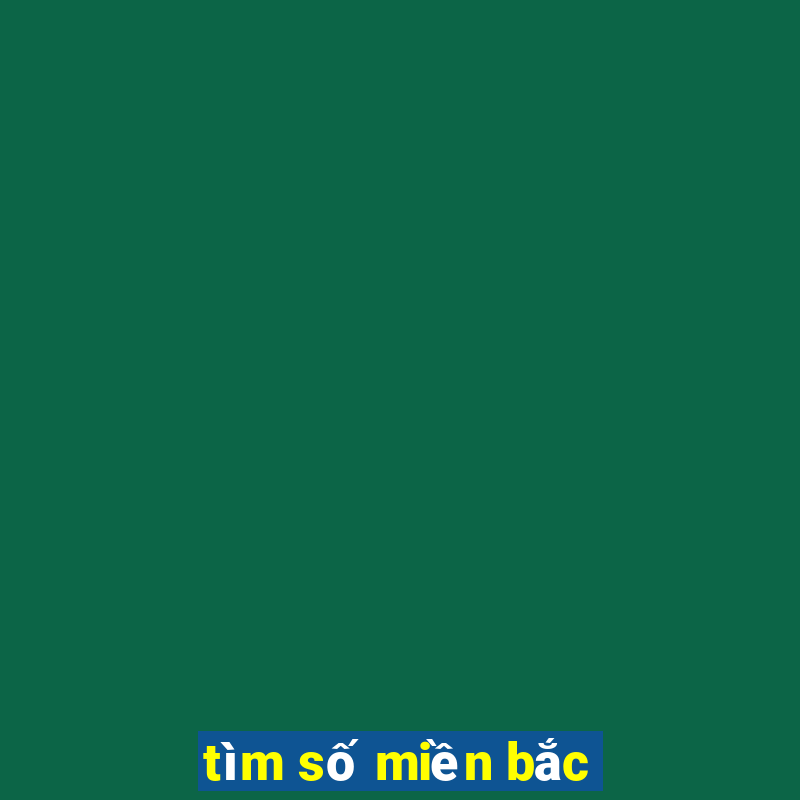 tìm số miền bắc