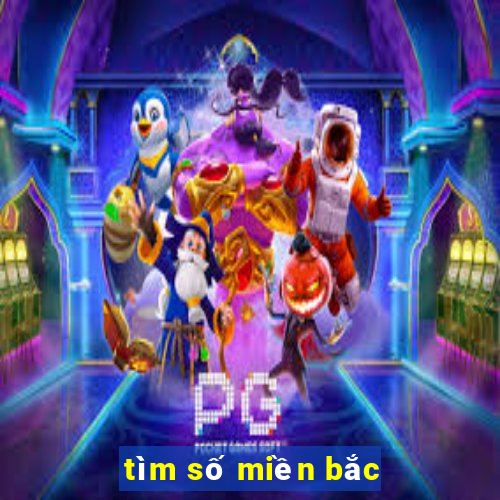 tìm số miền bắc