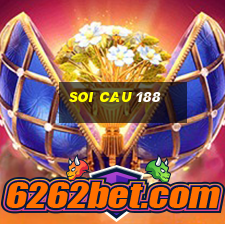 soi cau 188