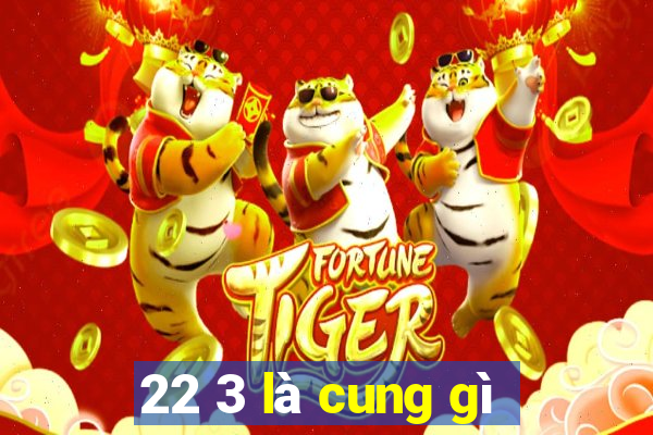 22 3 là cung gì