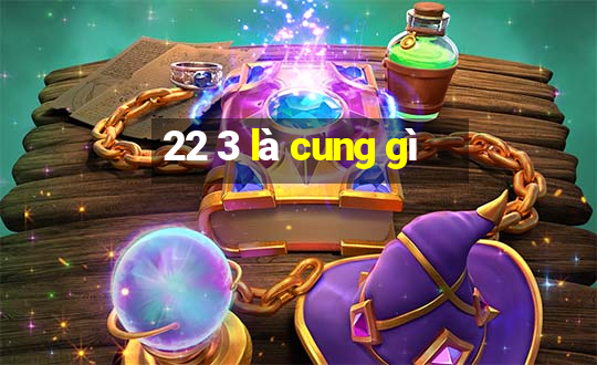 22 3 là cung gì