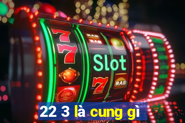 22 3 là cung gì