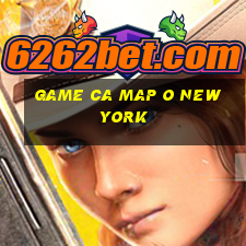 game ca map o new york