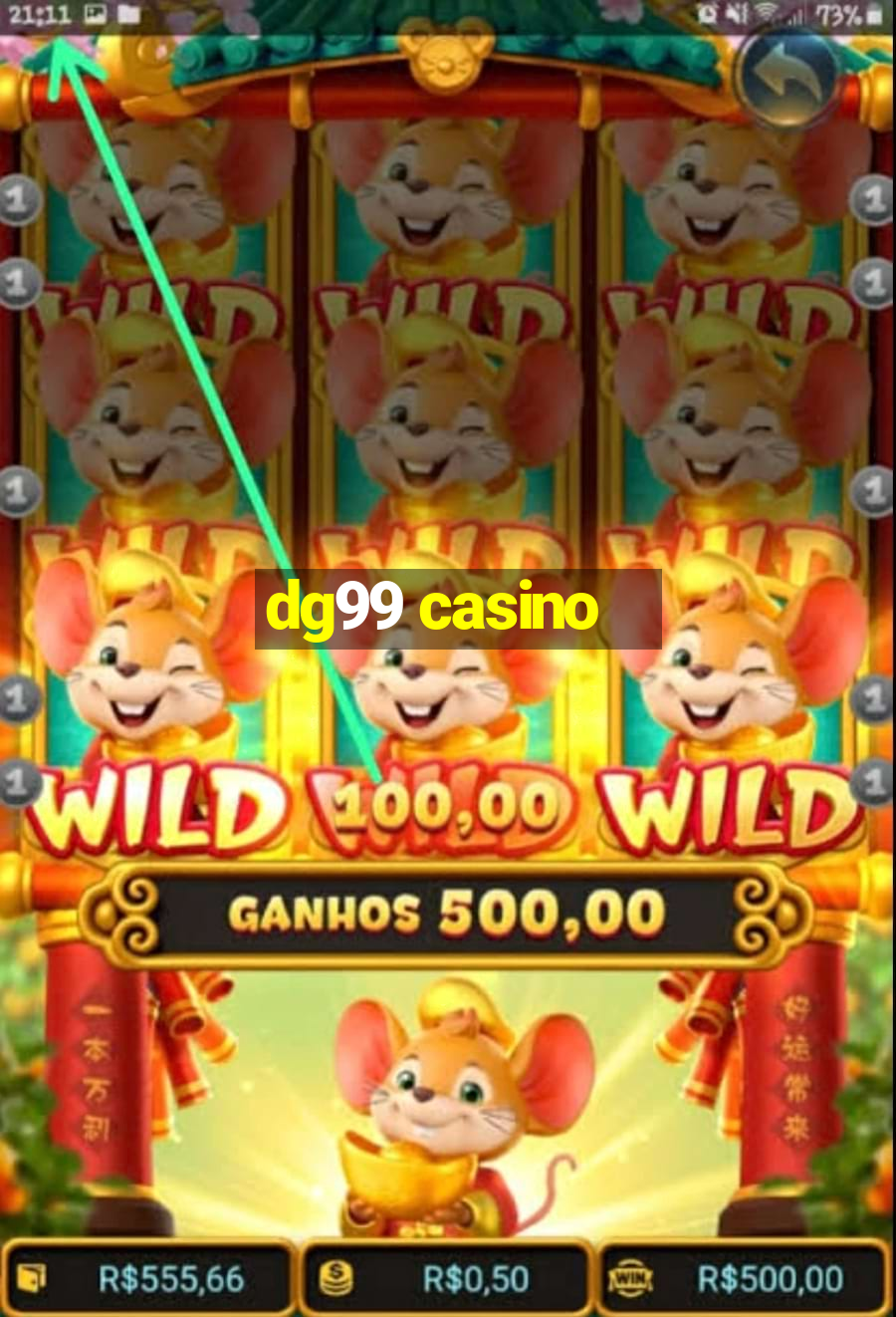 dg99 casino