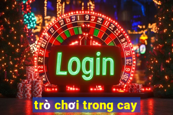 trò chơi trong cay