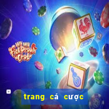 trang cá cược bóng đá webcacuoc88