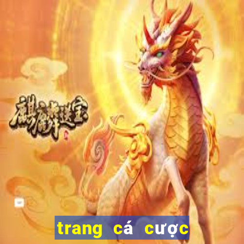 trang cá cược bóng đá webcacuoc88