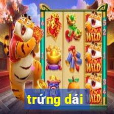 trứng dái