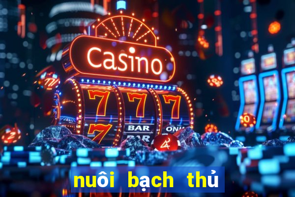 nuôi bạch thủ khung 3 ngày