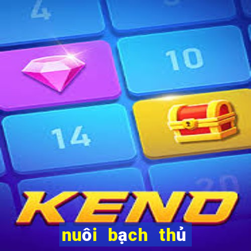 nuôi bạch thủ khung 3 ngày