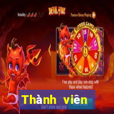 Thành viên Aishang Color