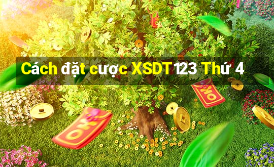 Cách đặt cược XSDT123 Thứ 4