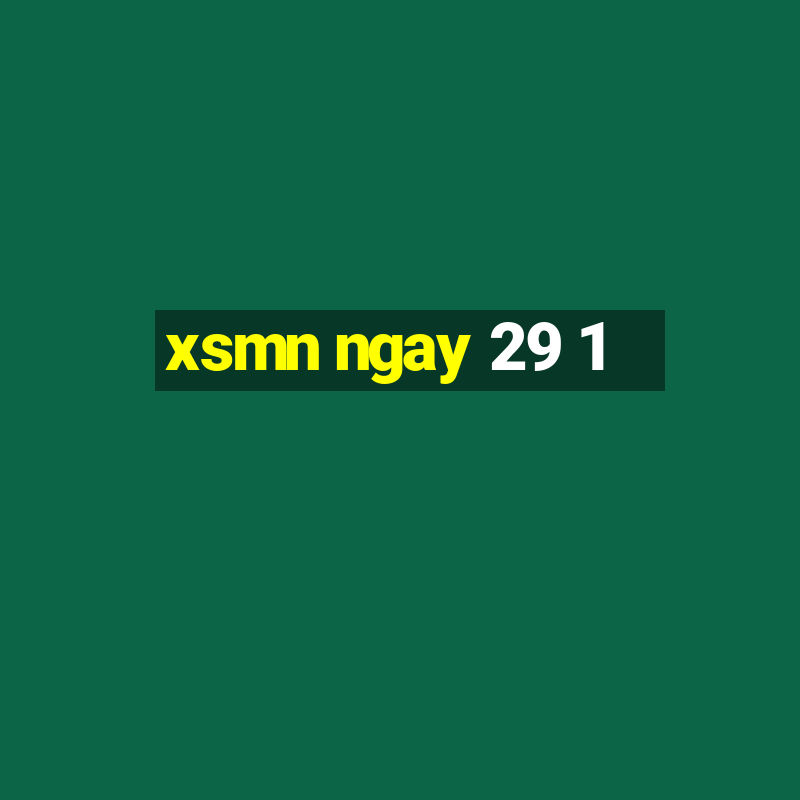 xsmn ngay 29 1