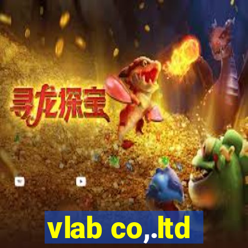 vlab co,.ltd