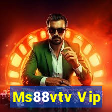 Ms88vtv Vip