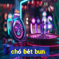 chó bét bun