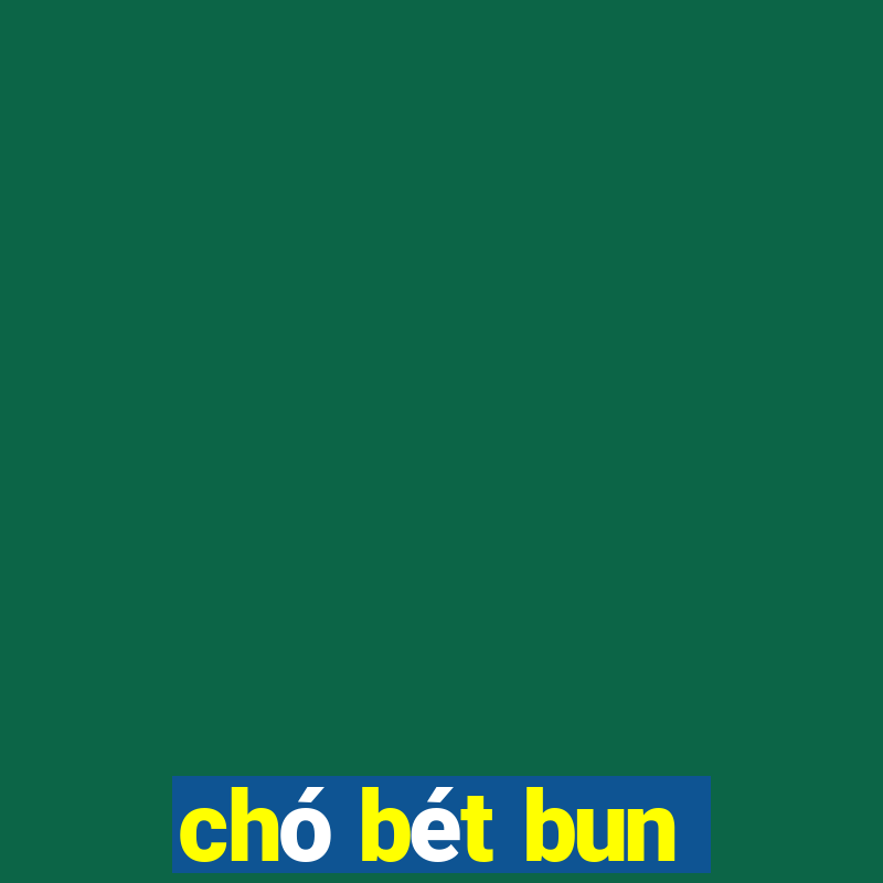 chó bét bun