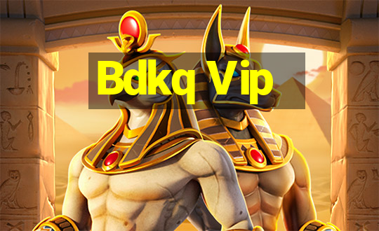 Bdkq Vip