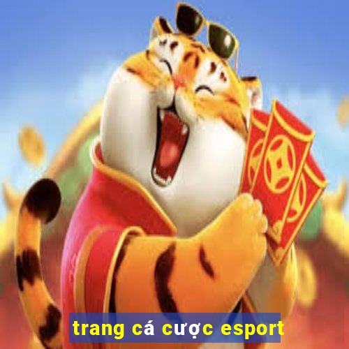 trang cá cược esport