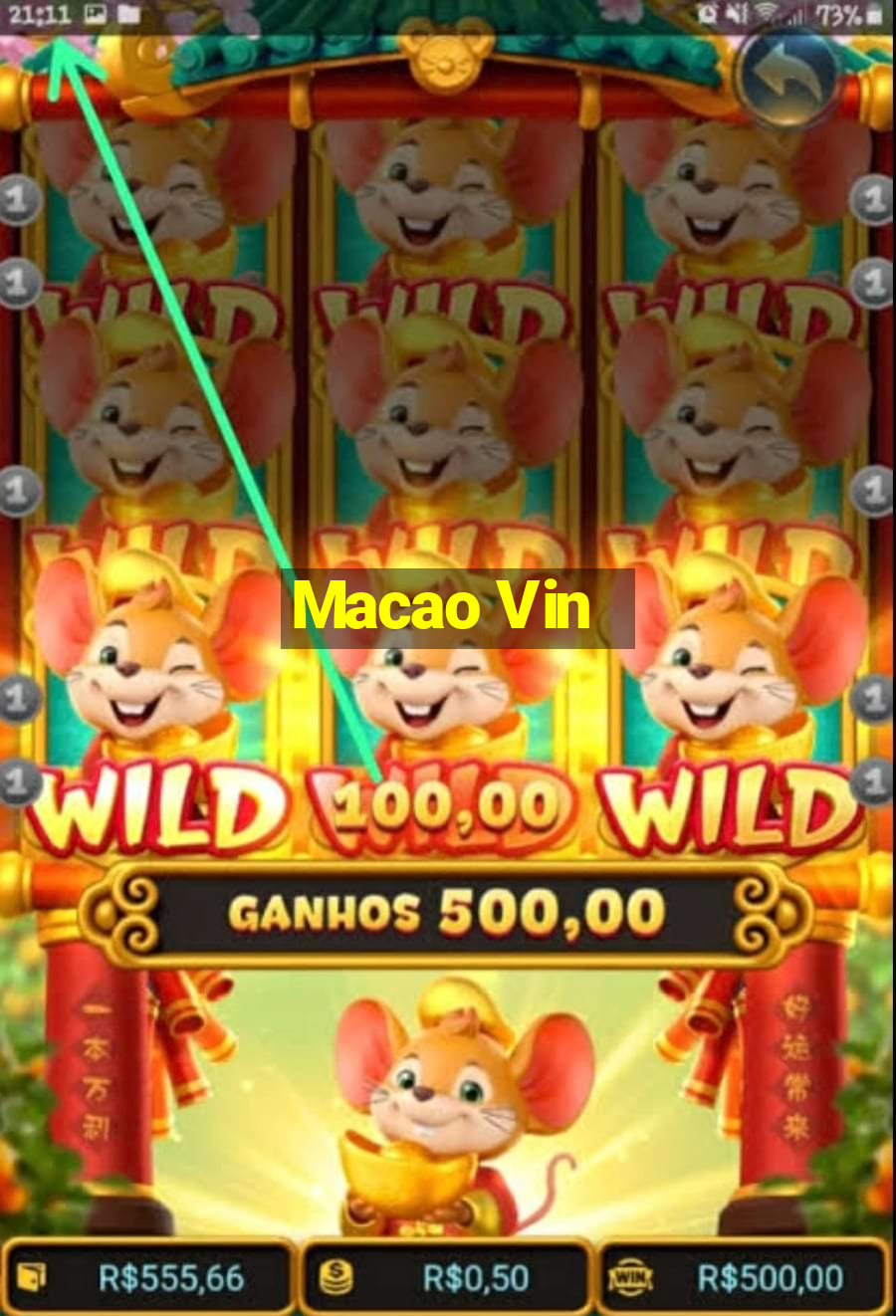 Macao Vin