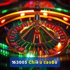 163005 Chiều caoBò